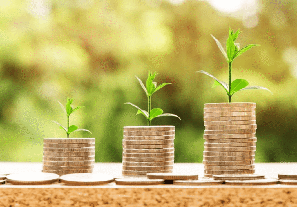 what to do with extra income